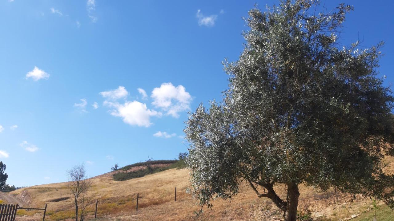Villa Gecko Pego Longo São Luis Esterno foto